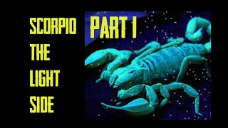 Scorpio THE LIGHT SIDE! ♏️🦂 Part 1# THE ARMORED TITANS (A deep and personal reflective chat)