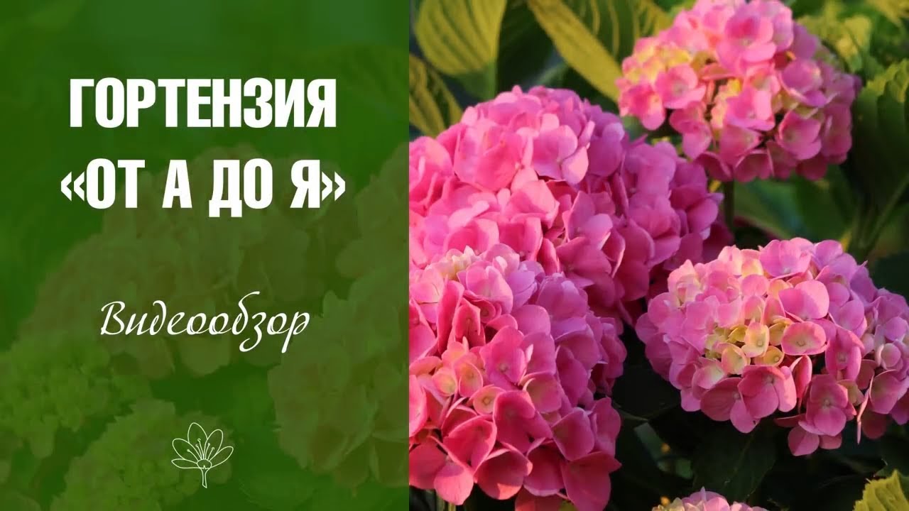 Садовый Гид Интернет Магазин