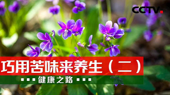 蒲公英、败酱草、紫花地丁 三种苦味野菜各有讲究！20230407 巧用苦味来养生（二）|《健康之路》CCTV科教 - 天天要闻