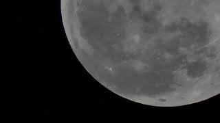 Zoom Zoom Panasonic Fz80 Review With Test Footage Super Snow Moon