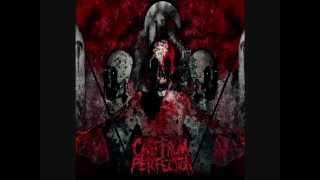 Cast From Perfection - Interlude+The Saint The Sinner
