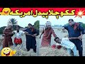 Standup comedy  america on foot  funny faisalabad official tasleemabbas ranaijaz sajjadjani