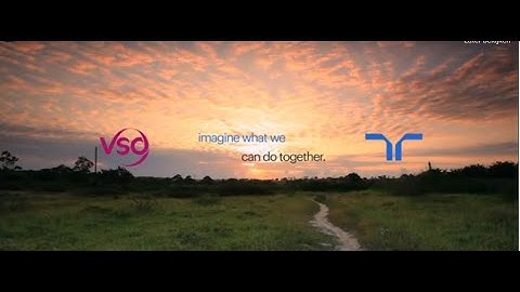 Randstad VSO Partnership Video