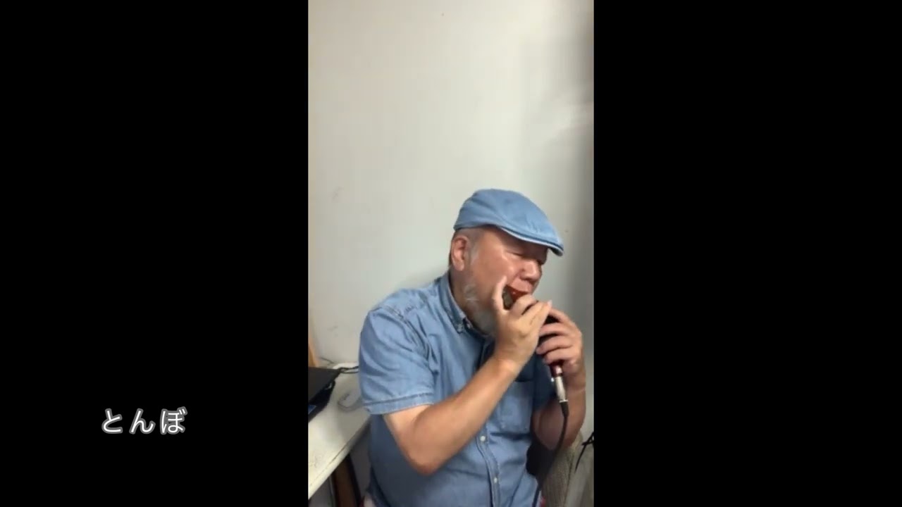 長渕剛cover【とんぼ】ーーCHROMATIC HARMONICA（Tokunaga Sound