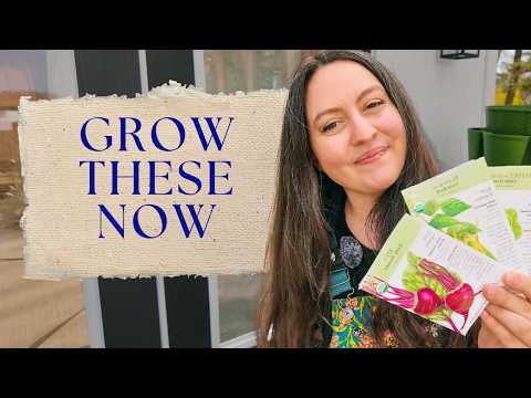 Fast growing crops to plant now