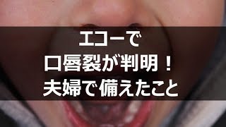 エコーで子どもの口唇裂が判明して夫婦で備えたこと