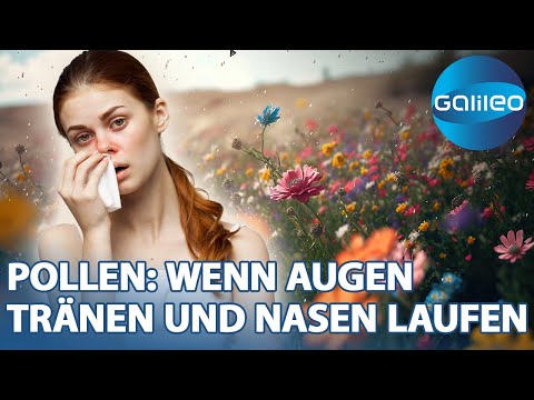 Video: Produzieren Staubblätter Pollen?