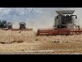Claas-Fendt / Getreideernte - Grain Harvest  2019