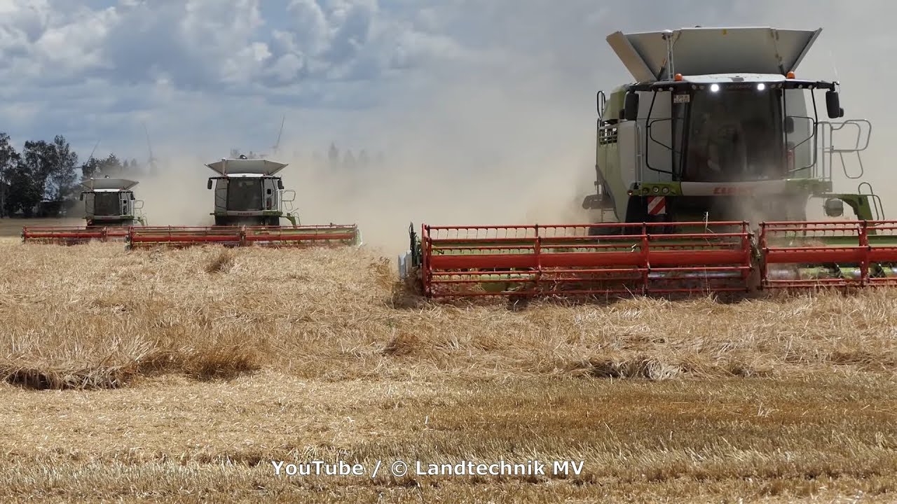 Claas-Fendt / Getreideernte - Grain Harvest  2019
