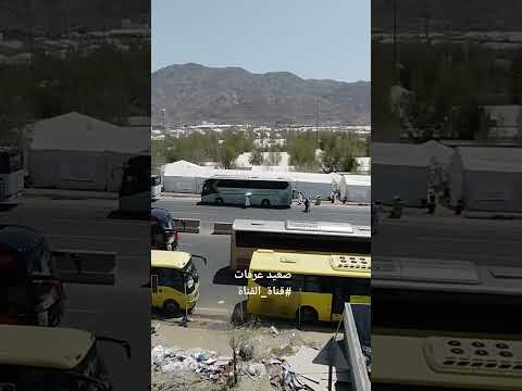 وقوف الحجاج بصعيد عرفات بركن الحج الأعظم  قناة القناة