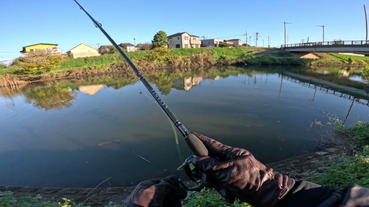 Bass Fishing Live highlight n Japan River Largemouth bass smallmouth shimano megabass Bicycle bike