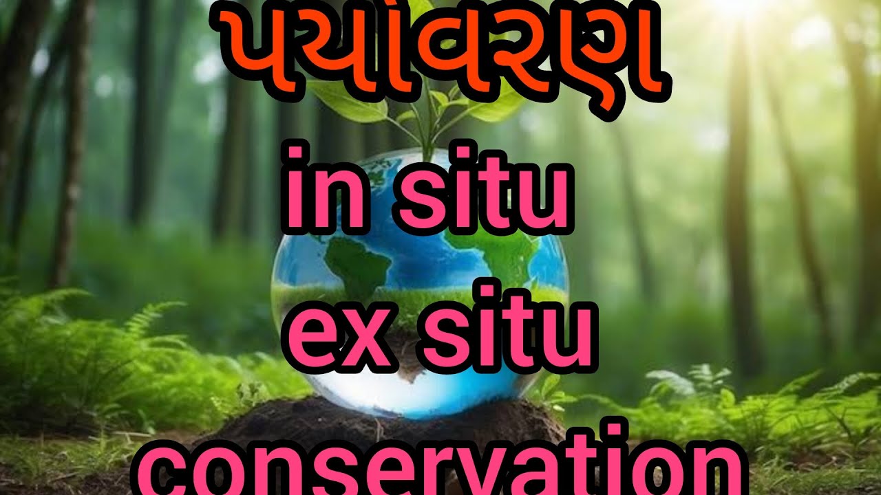 in situ and ex situ conservation