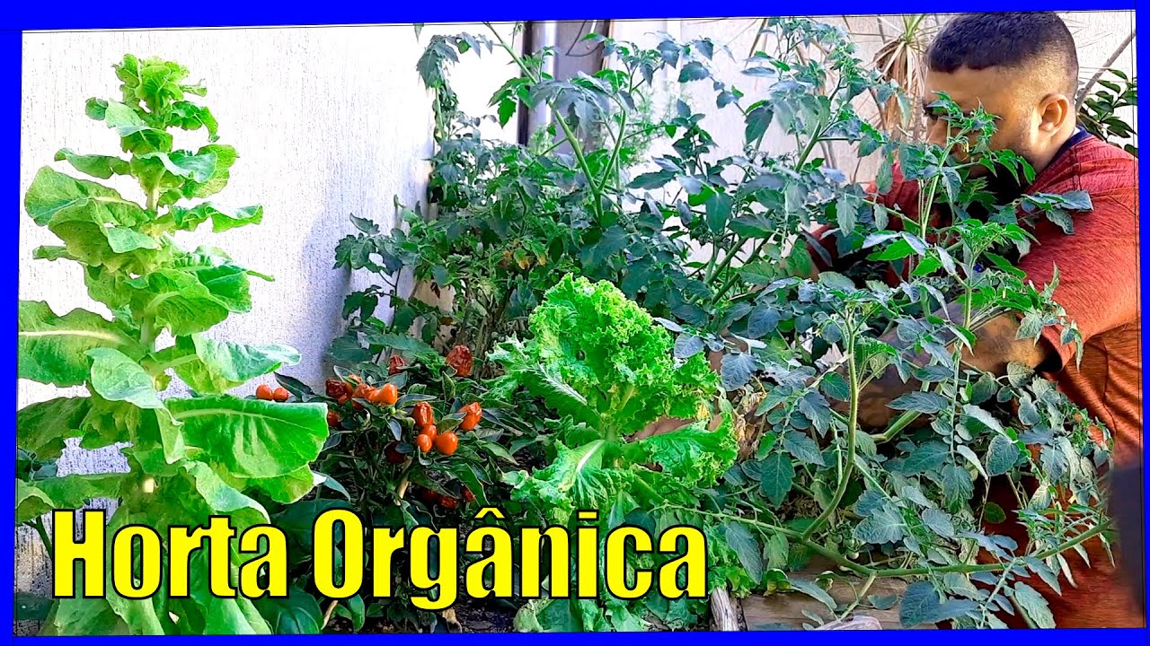 Organizando a Horta Orgânica em Casa
