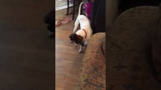IMG 3879 MOV