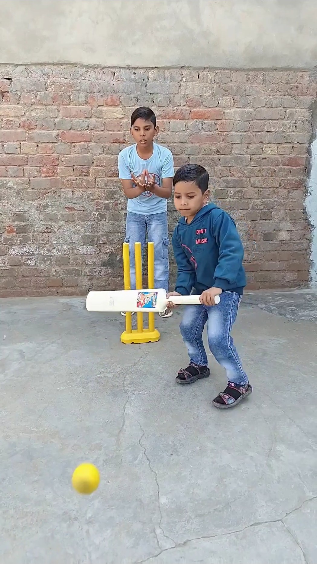 Cricket lovers ??#shorts