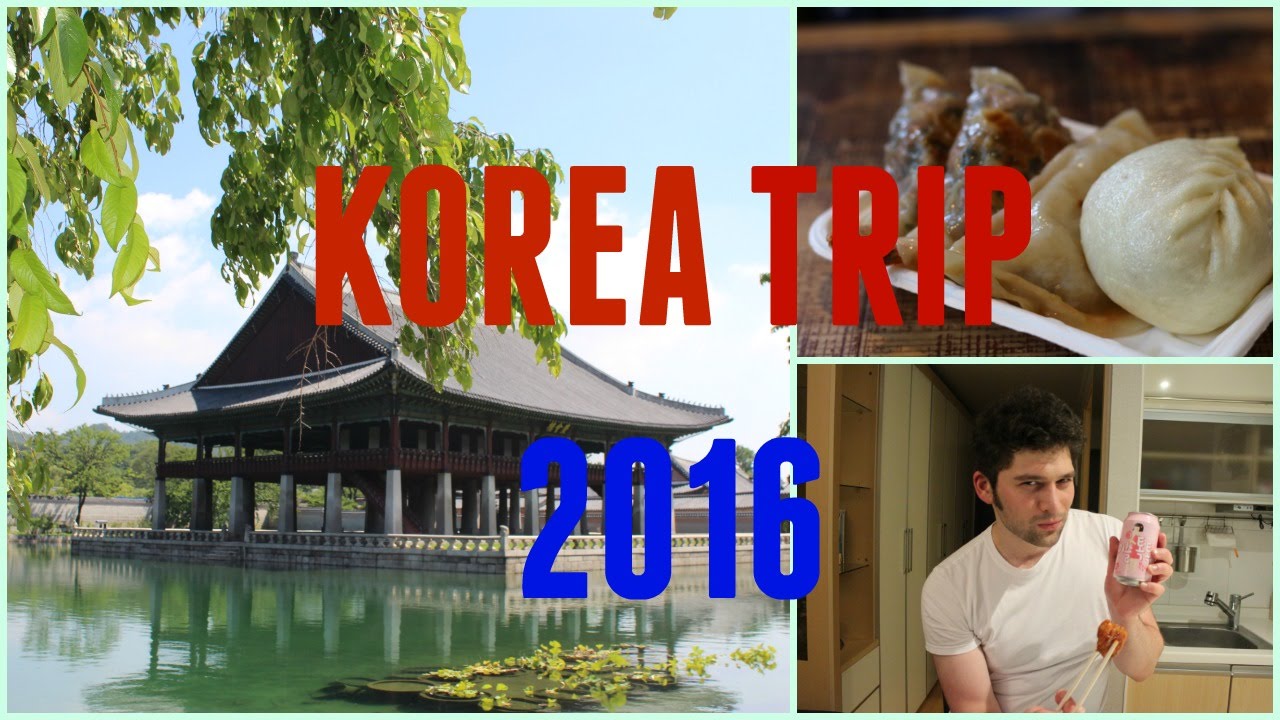 korea trip blogger