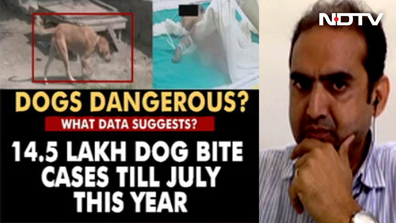 No Action Taken Apartment Resident Where Dog Killed A Child Breaking Views YouTube