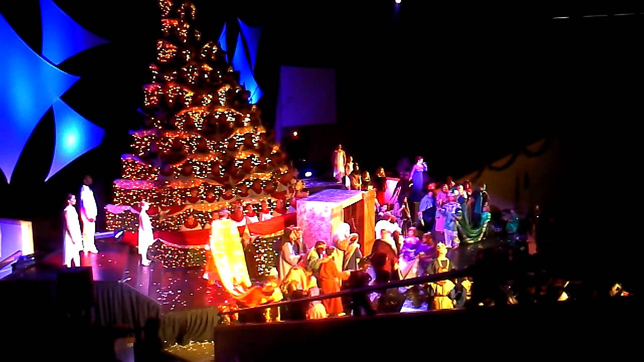 Singing Christmas Tree 2011 week 3 at BBC 6 YouTube