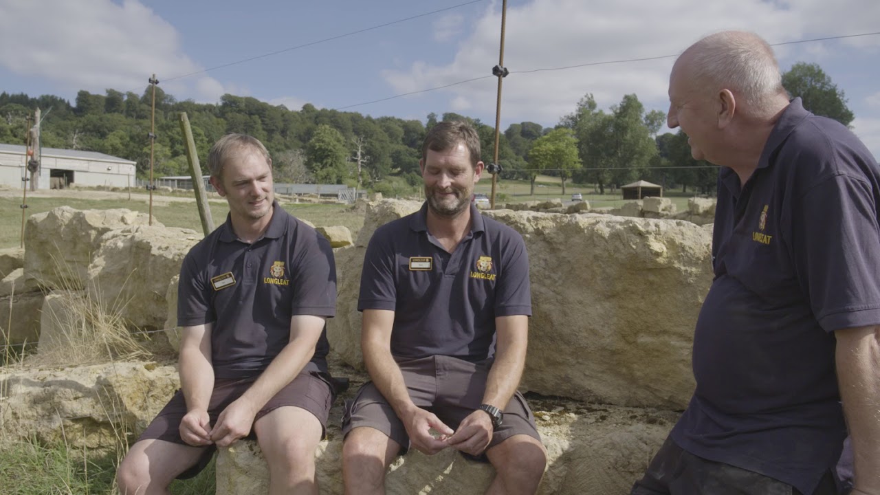 Anne The Elephant - Summer 2018