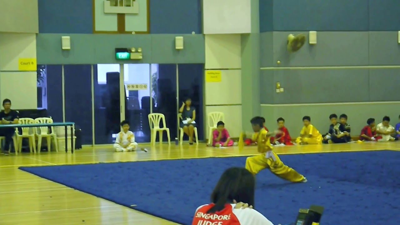 12th National Primary Schools Wushu Championship YouTube