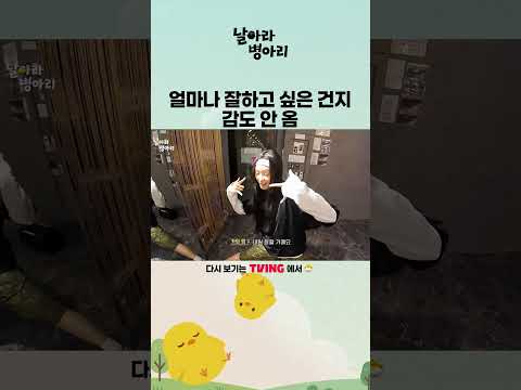 [날아라 병아리] 얼마나 잘하고 싶은 건지 감도 안 옴 #날아라병아리 #Flyingari