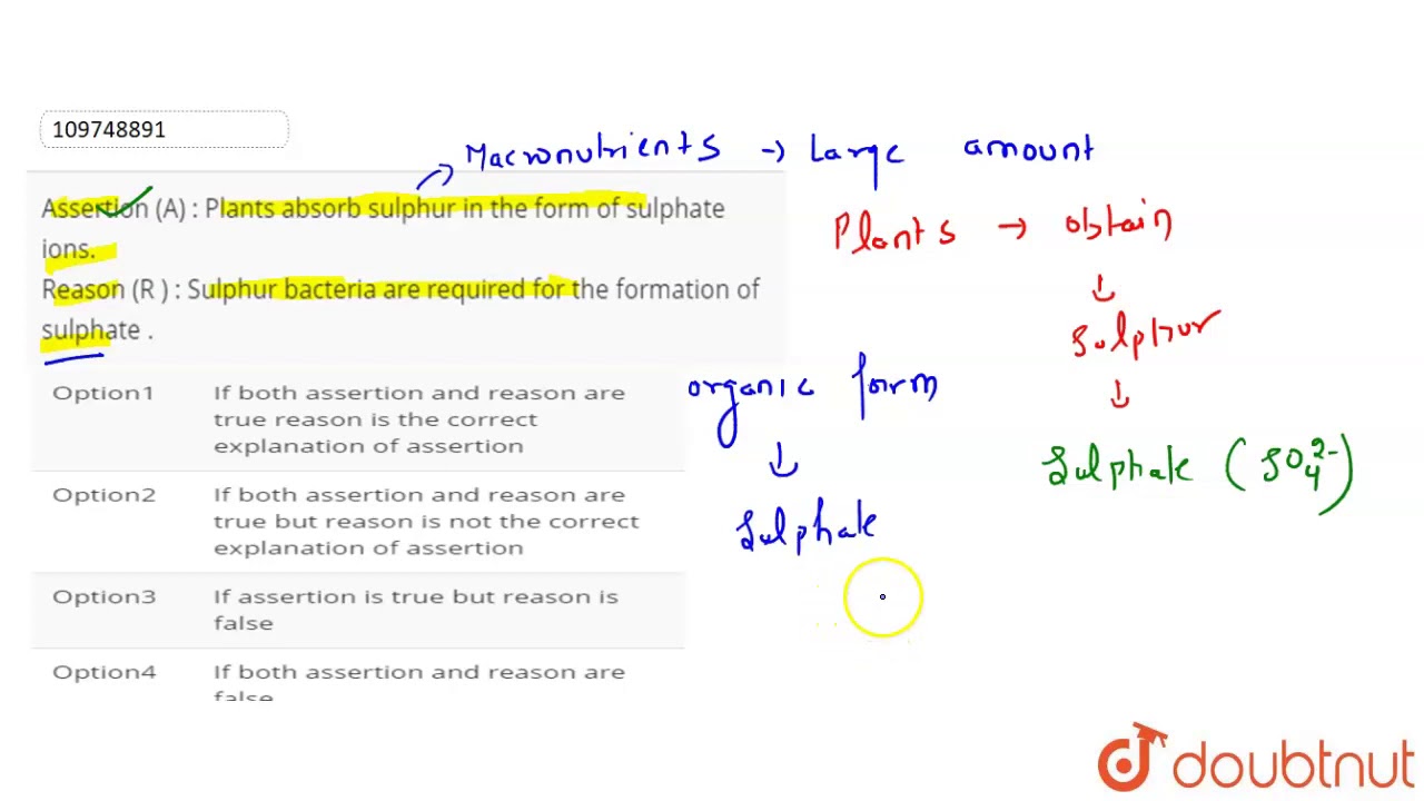 Assertion (A) : Plants absorb sulphur in the form of sulphate ions.    Reason  (R ) : Sulphur