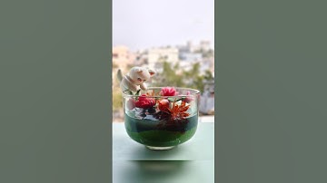 How to make a  cute cat figure with air dry clay //air dry clay fondant tutorial for beginners