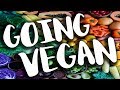 MINDFUL MUMMAS | Going Vegan | NomadiDaddy