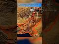 ইসলামাবাদে নিরাপত্তা ব্যবস্থা: তথ্যভিত্তিক বিশ্লেষণ