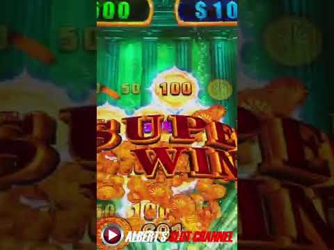 Online Bonus Hunt & Slots Bonus Compilation 🤔