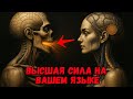 Скрытая мудрость древних мастеров открывается только тем, кто готов ПРОБУДИТЬСЯ