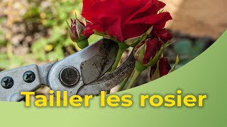 La taille des rosiers