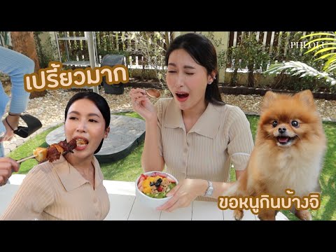 PHLOI.U พาตะลุย 3 ร้านอาหารและคาเฟ่ พาน้องหมาเข้าได้