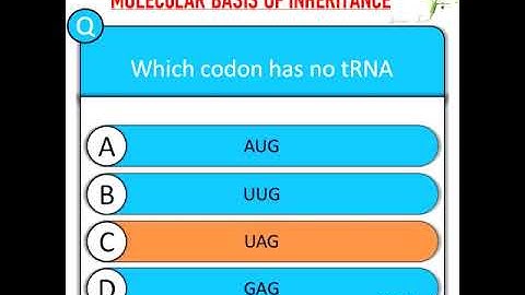 Molecular Basis Of Inheritance mcq for neet || About about NEET #shorts #NEET2021 #NEET