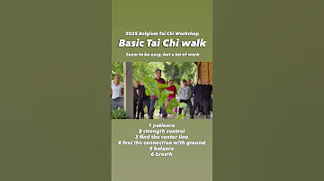 Basic Tai Chi Walk The Moving Meditation Practice Taichi Kungfu 太极拳 Taijiquan 