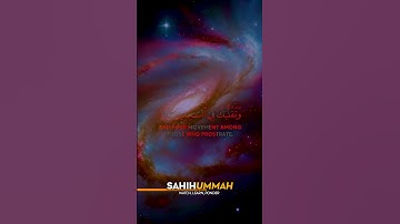 Surah Ash Shu'ara (سورة الشعراء) - AYAT 217-220 | محمد ديبيروف - Muhammad Dibirov