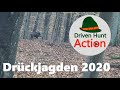 Drückjagden 2020 - Jagd auf Sauen, Rehwild und Damwild