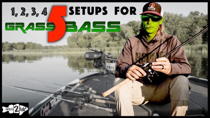 How to Fish Soft Stick Baits for Shallow Bass 