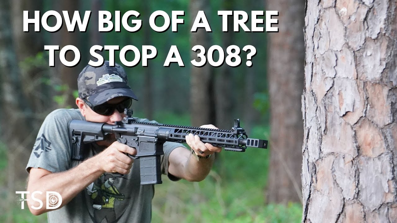 How big of a tree to stop a 308?  Cover VS Concealment
