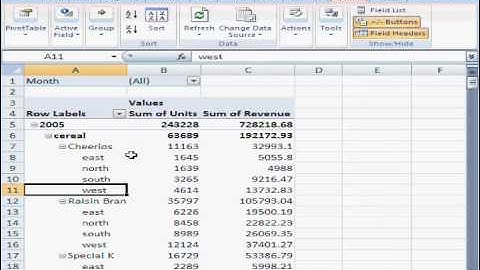 Pivot Tables in MS Excel in Hindi Part 4