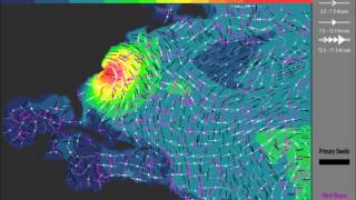 Visualizing wave height, swells, wind waves and wind direction