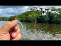 The easiest way to catch multiple big crappie  no electronics needed