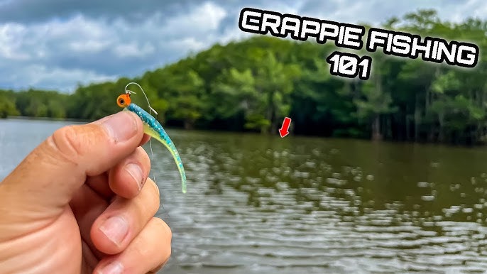 CRAPPIE JIGS 101 EVERYTHING YOU NEED TO KNOW ABOUT CRAPPIE JIGS 