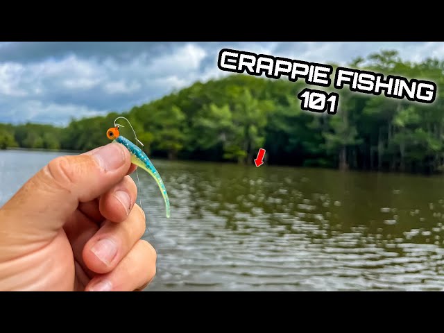 The EASIEST Way to Catch MULTIPLE Big Crappie ** NO ELECTRONICS NEEDED 