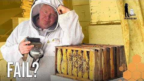 Cross Comb Chaos: Tackling An Unexpected Swarm!