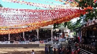 Bull Riding - Karambola