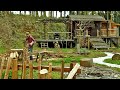 Cedar felling and boar proof fence