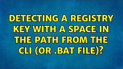 Detecting a registry key with a space in the path from the CLI (or .bat file)?