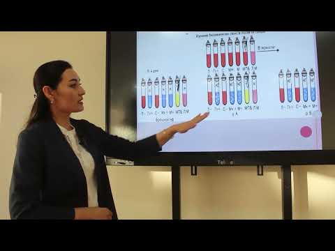 Кишечные инфекции: Салманеллы (Брюшной тиф, паратиф А и Б)