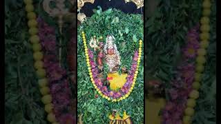 Ammoru 🔱🌼🙏#god #love #devotionalsong #ammoru #parvati #lakshmi #shorts #youtubeshorts